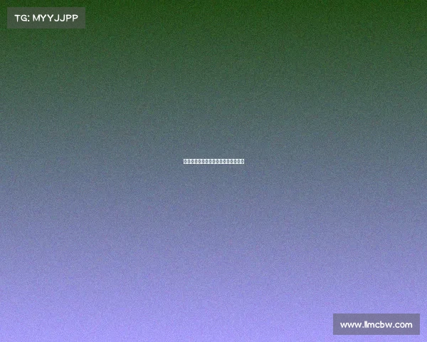 裁判员赛事总结、裁判员赛事总结报告